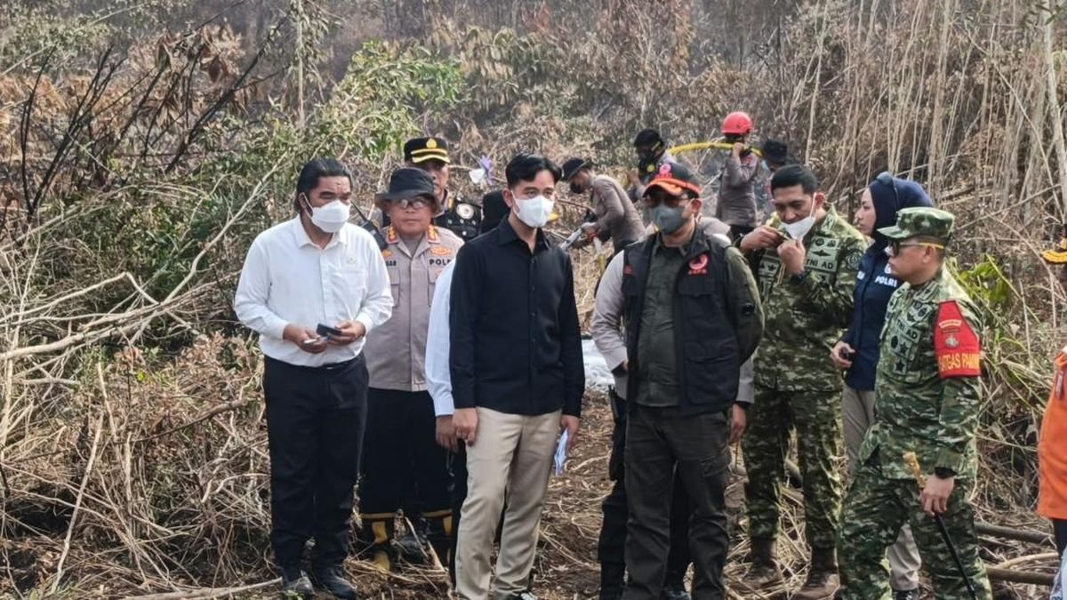 Gibran Goes Directly into the Middle of Kalimantan Forest and Forestry Smoke, Three Provinces Become Targets
